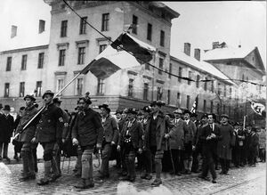 Marschierende Mitglieder des Freikorps Werdenfels beim Reichsparteitag der NSDAP in München im Januar 1923. Foto: Heinrich Hoffmann. (Bayerische Staatsbibliothek, Bildarchiv, hoff-6537)