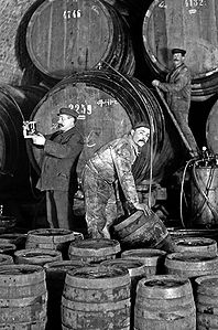 Arbeiter beim Bierumfüllen in einem Lagerkeller der Löwenbrauerei, 1900. (Fotografie, Bayerisches Wirtschaftsarchiv F2, 9620)