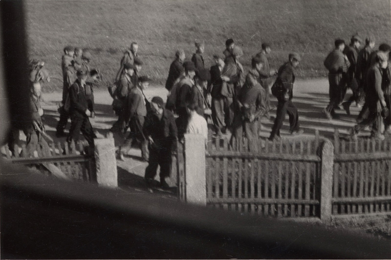 Datei:Todesmarsch nach Dachau.jpg