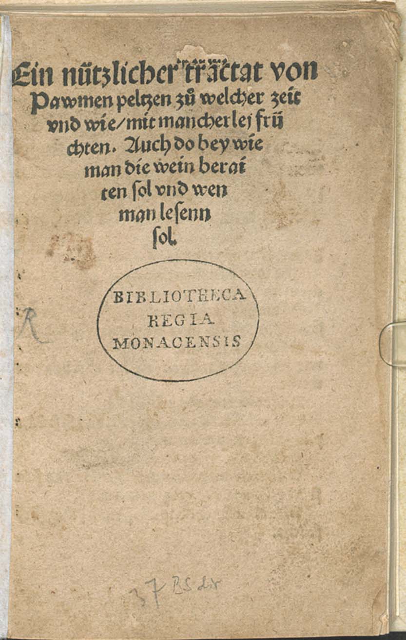 Gottfried von Franken Pelzbuch Historisches Lexikon Bayerns