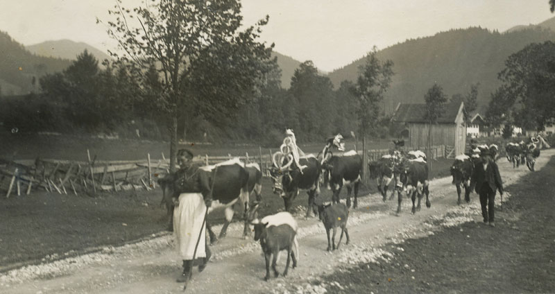 Datei:Almabtrieb Grassau 1910.jpg