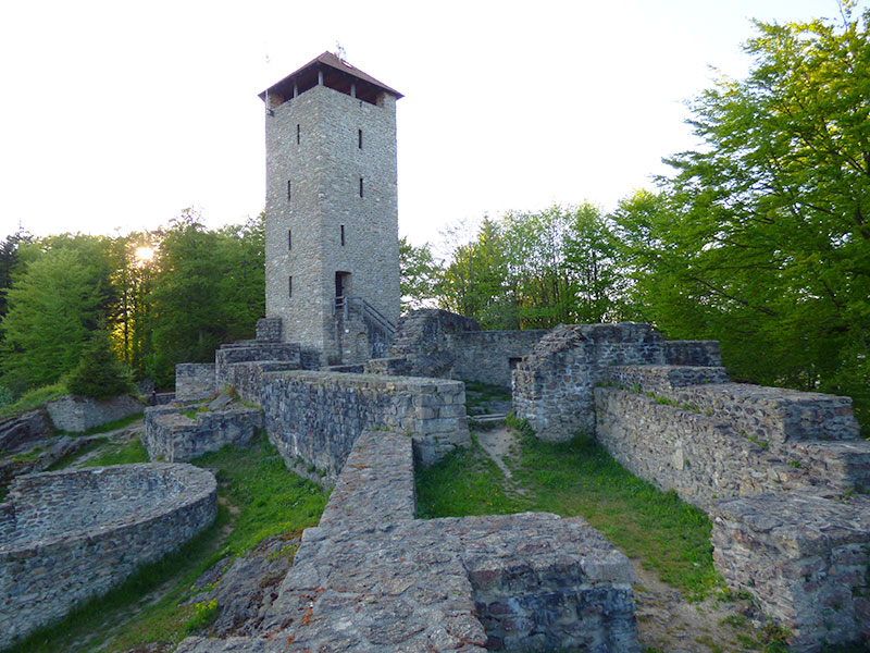 Datei:Ruine Altnussberg.jpg