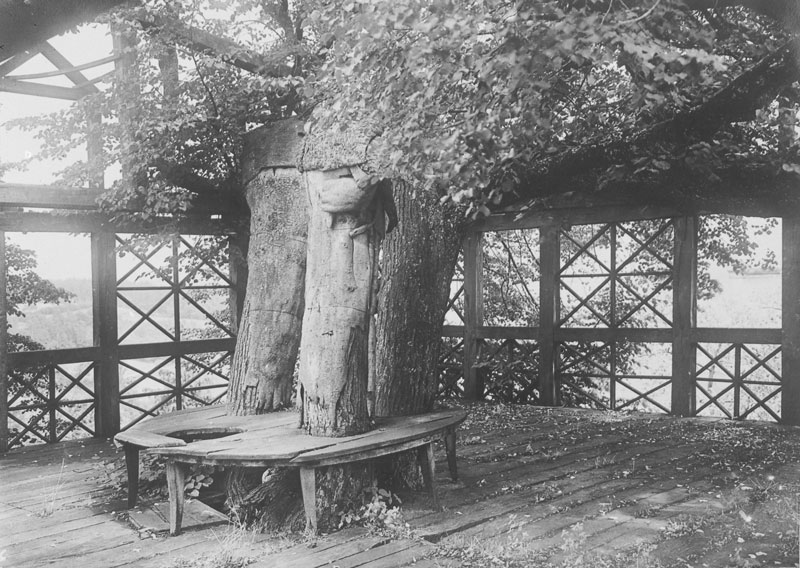 Datei:Tanzlinde Peesten 1950.jpg