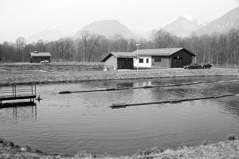 Datei:Oberau belüfteter Teich 1988.jpg