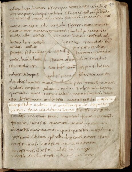 Datei:Kasseler-Glossen 17r.jpg