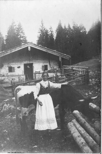 Datei:Bauernschmiedalm 1910.jpg