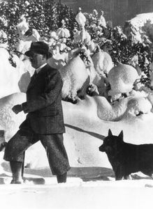 Hitler beim Winterspaziergang durch die verschneite Bergwelt mit seinem Schäferhund Muck. Auch die Aufnahmen solcher Spaziergänge des "naturnahen Führers" waren vorbereitet; Hitler war dann teils von mehreren Fotografen begleitet. Fotografie von Heinrich Hoffmann, Januar 1935. (Bayerische Staatsbibliothek, Bildarchiv hoff-10058)