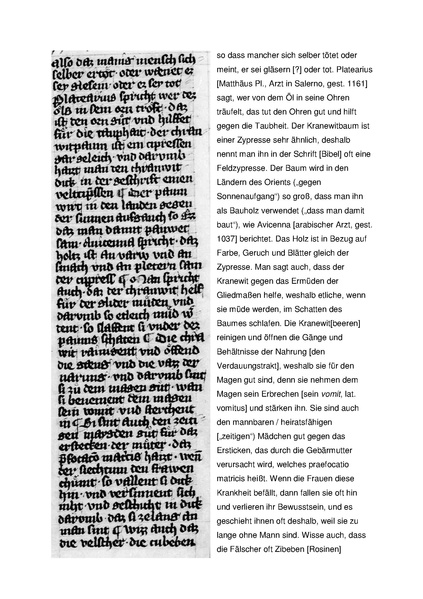 Datei:Artikel 45675 bilder value 1 fruehneuhochdeutsch1.pdf