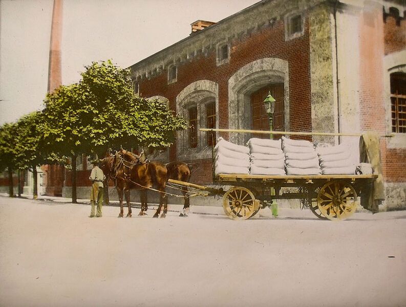 Datei:Salzfuhrwerk Reichenhaller Saline.jpg