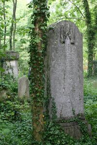 Jüdischer Friedhof in Kriegshaber (Stadt Augsburg). (Foto: Wolfgang Mair Abersee, Augsburg)