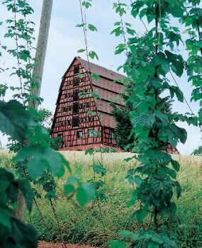 Das Mühlreisighaus (Stadt Spalt) ist das wohl bedeutendste mittelfränkische Hopfenbauernhaus. Das steile Satteldach ist vierfach gebrochen und mit Trockenschlitzen für die Hopfenböden versehen. Um 1746. (Foto: Stadt Spalt)