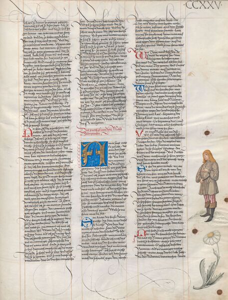 Datei:Ambraser Heldenbuch fol 225r.jpg