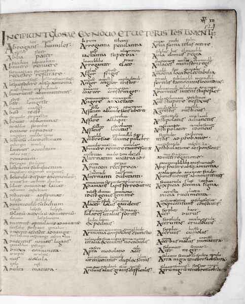 Datei:Manuskript Latin 7640 124.jpg