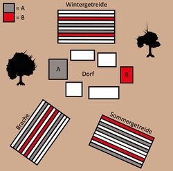 Schematisch Darstellung der Parzellenverteilung zweier Höfe im Rahmen der Dreizelgenwirtschaft. (Gestaltung: Laura Niederhoff)
