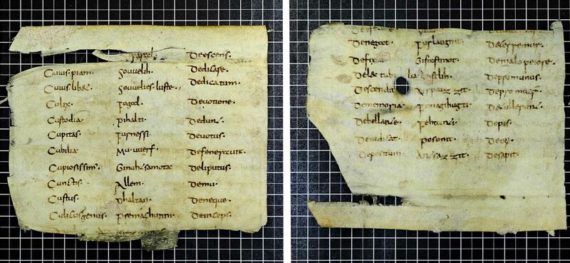 Datei:Admonter Abrogans C D.jpg