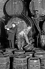 Arbeiter beim Bierumfüllen in einem Lagerkeller der Löwenbrauerei, 1900. (Fotografie, Bayerisches Wirtschaftsarchiv F2, 9620)