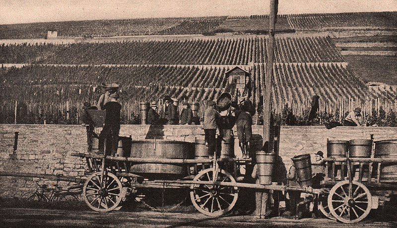 Datei:Weinlese Neuberg.jpg