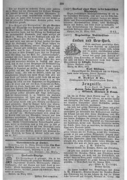 Datei:Artikel 45017 bilder value 4 neuespeyererzeitung6.pdf