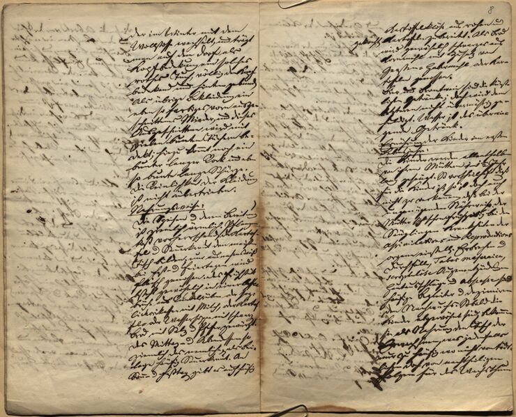 Datei:Physikatsbericht 2.jpg