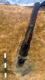 Abb. 11 – Detail der Haspelwelle bei Grafenöd in situ. (Foto M. Straßburger)