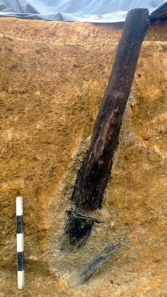 Datei:Abb 11 Haspelwelle.jpg