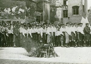Bücherverbrennung am Tag der Deutschen Jugend (7.5.1933) in Wasserburg am Inn. (Stadtarchiv Wasserburg a. Inn, IVe2)