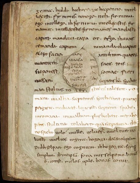 Datei:Kasseler-Glossen 17v.jpg