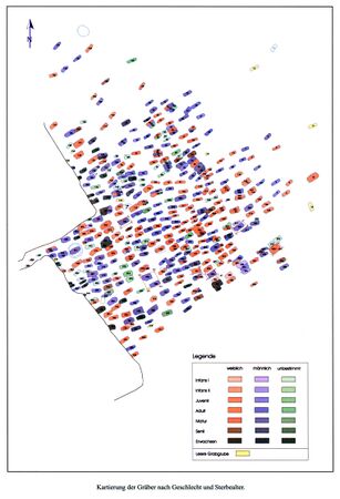 Abb. 6: Aschheim, Plan des frühmittelalterlichen Reihengräberfeldes. (nach. D. Gutsmiedl-Schümann 2010)