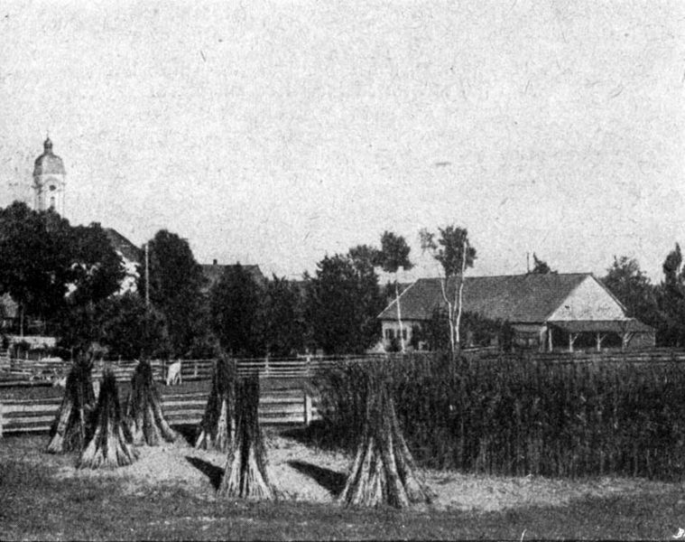 Datei:Leinundhanfanbau4.jpg