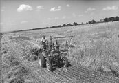 Bindemäher bei der Ernte, Gut Herrlehof bei Nordendorf, 1951. Rationalisierung und Technisierung der Landwirtschaft standen hoch im Kurs, die Dynamik des Strukturwandels spiegelt sich wieder im aufsteigenden Horizont des Bildes. Foto von Erika Groth-Schmachtenberger. (Haus der Bayerischen Geschichte)