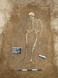 Rain am Lech: Frauengrab Befund 631 während der Ausgrabung 2011. (Foto: Fa. Patzelt & Peter Büro für Archäologie, Sonthofen)