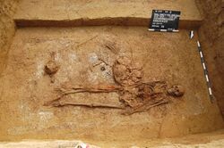 Waldbüttelbrunn (Lkr. Würzburg), Kammergrab (Bef. 78). (Foto: Ausgrabungen Specht)