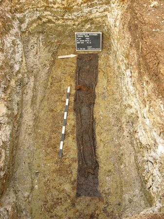 Abb. 4: Ehingen (Ries), Lkr. Donau-Ries, Bestattung der älteren Merowingerzeit im Baumsarg (Bef. 126), Foto: Fa. KANT. (Bayerisches Landesamt für Denkmalpflege)