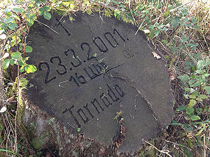 Forstenrieder Park: Am 23.3.2001 richtete ein Tornado im südwestlich von München gelegenen Forstenrieder Park große Schäden an Wald und Flur an. Glücklicherweise gab es dabei keine Personenschäden, obwohl der Tornado auch über die dort verlaufende Bundesautobahn A95 hinwegzog. Zur Erinnerung an den Tornado wurden in einem Baumstumpf Datum und Uhrzeit des Ereignisses eingraviert. (Foto: Dr. Stephan Kellner)