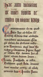 Ausschnitt aus dem Breviarius Urolfi von 788. Abschrift im Kopialbuch des Abtes Hermann von Niederaltaich von 1254. (Bayerisches Hauptstaatsarchiv, Kloster Niederalteich Amtsbücher und Akten 1 lizenziert durch CC BY-NC-ND 4.0 via bavarikon)