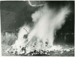 Bücherverbrennung am 12.5.1933 auf dem Erlanger Schloßplatz. Das Foto wurde in den Erlanger Neuesten Nachrichten am 13.5.1933 veröffentlicht. (Stadtarchiv Erlangen, VI.Z.b.7268)