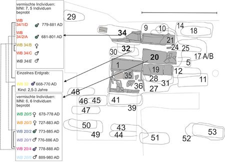 Abb. 13: Wielenbach, frühmittelalterliches Gräberfeld mit beprobten Bestattungen. (nach J. Haberstroh/K. von Heyking et al., 2020)