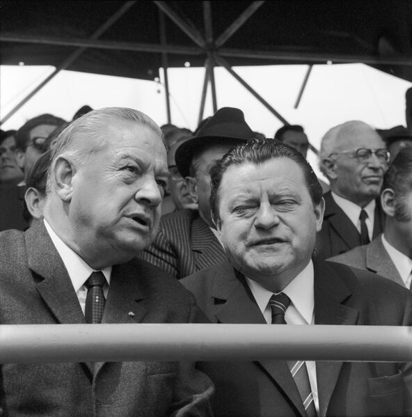 Datei:Goppel Strauß.jpg