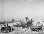 Eine Landwirtin mit ihren Gehilfen beim Dreschen von Weizen auf einem Feld in Aiterhofen, 1952. Bilder der Vollmechanisierung prägten die Sicht auf den landwirtschaftlichen Wandel, der die Produktion höherer Stückzahlen bei minimalem Einsatz von Personal notwendig machte. Foto von Erika Groth-Schmachtenberger. (Haus der Bayerischen Geschichte)
