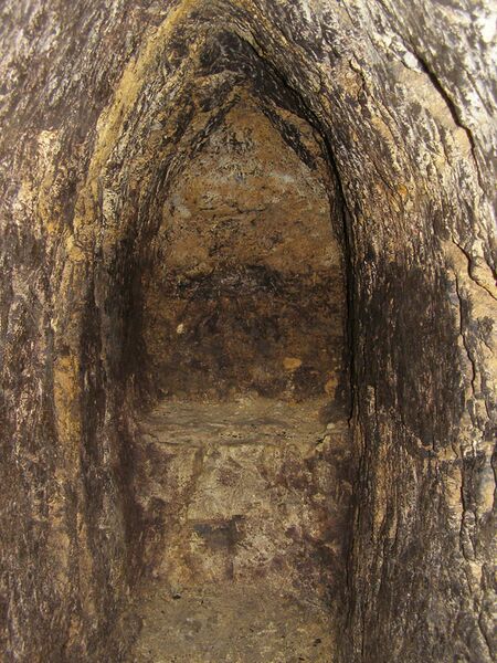 Datei:Erdstall Mitterschneidhart.jpg