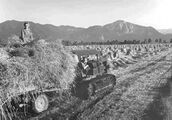 Sommerroggenernte mit einem Raupenschlepper der Moorwirtschafts-Außenstelle Mühleck, 1954. Weite Landschaft und fortschreitende Technik dominieren zunehmend die Bilder Groth-Schmachtenbergers ab den 1950er-Jahren. Foto von Erika Groth-Schmachtenberger. (Haus der Bayerischen Geschichte)