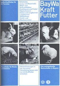 Werbung für BayWa-Kraftfutter 1972. (aus: Bayerischer Bauernkalender 1972, 51)