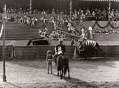Szene vom Ritterturnier aus dem Jahre 1956 anlässlich der Feierlichkeiten zur Erinnerung an die Landshuter Hochzeit. (Verein "Die Förderer" e. V.)
