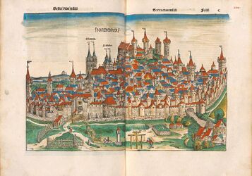 Darstellung der Stadt Nürnberg. (Bayerische Staatsbibliothek Rar 287, fol. 99v-100)