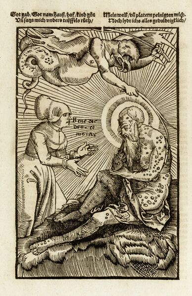 Datei:Gerdorff Darstellung Lepra.jpg