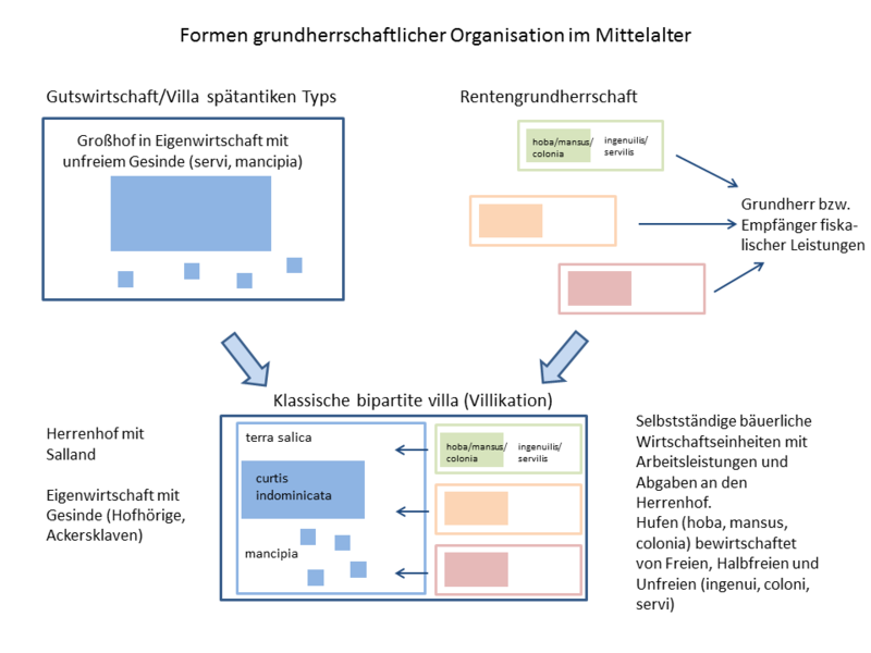 Datei:Grundherrschaftliche Organisation Mittelalter.png