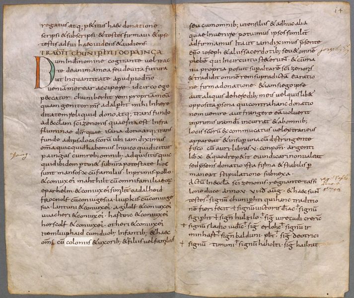 Datei:Cozroh Codex Kolonen.jpg