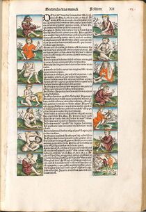 Im Abschnitt über das zweite Weltalter finden sich diese Darstellungen monströser Menschenarten, wie sie von antiken Autoren beschrieben wurden. (Bayerische Staatsbibliothek Rar 287, fol. 12)