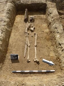 Rain am Lech: Männergrab Befund 582 während der Ausgrabung 2011. (Foto: Fa. Patzelt & Peter Büro für Archäologie, Sonthofen)