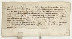 Die Grafen Albrecht und Alram von Hals, Pfleger Herzog Ottos III. von Niederbayern (reg. 1290-1312, 1305-1307 König von Ungarn) in Vilshofen, versprechen den Juden von Passau gegen bestimmte Abgaben freies Geleit von Passau nach Straubing, Urkunde vom 23.7.1311. (Bayerisches Hauptstaatsarchiv, Hochstift Passau Urkunden 368)